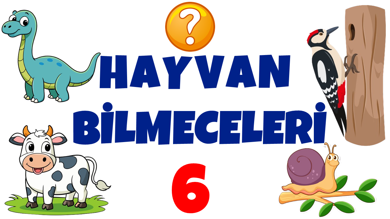 HAYVAN BİLMECELERİ 6