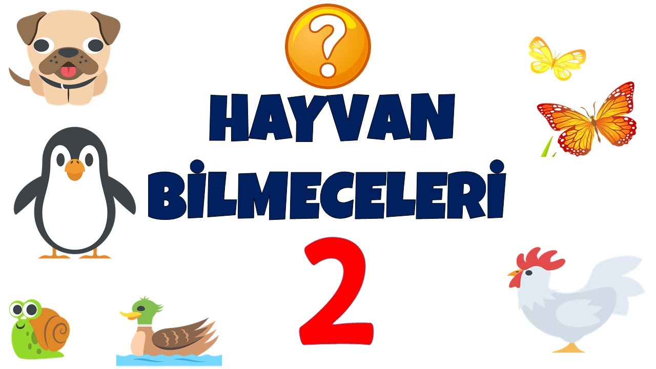 HAYVAN BİLMECELERİ 2