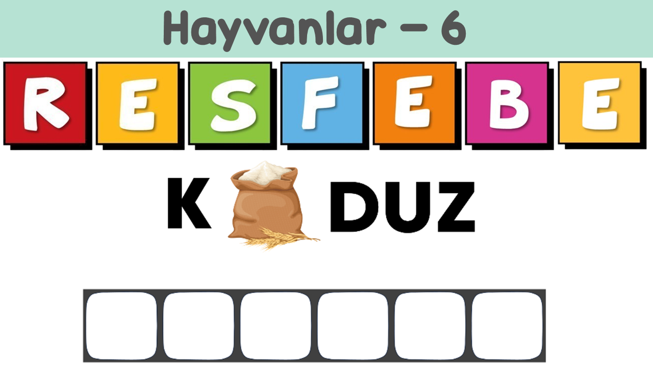 HAYVAN RESFEBELERİ 6